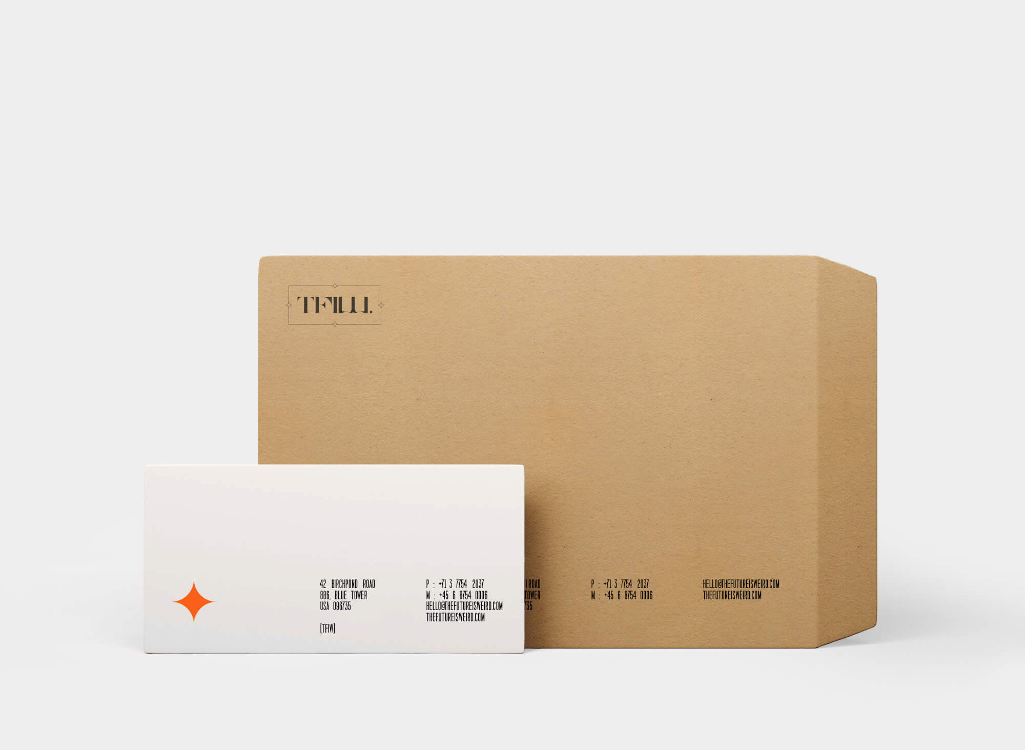 business-cards-and-box-mail-delivery-brand-information