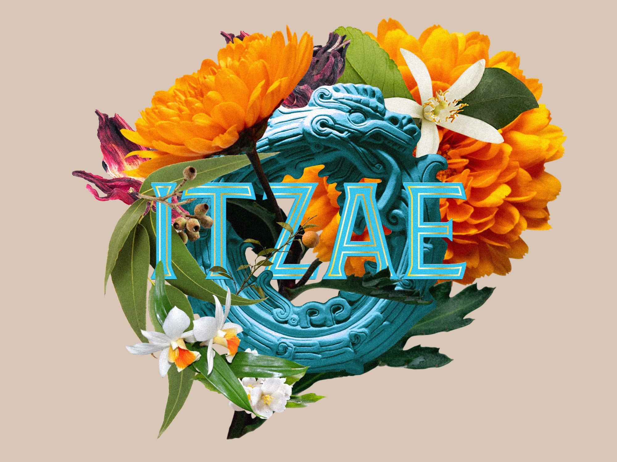 itzae-quetzalcoatl-branding-floral